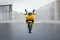 Joy e-bike Thunderbolt