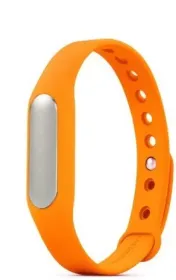 IBS WD-01 Fitness Band