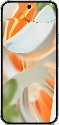 Google Pixel 9 Pro (16GB RAM + 1TB)