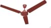 RR Droot HS 1200 mm 3 Blade Ceiling Fan
