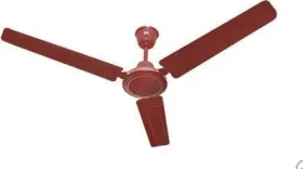 RR Droot HS 1200 mm 3 Blade Ceiling Fan