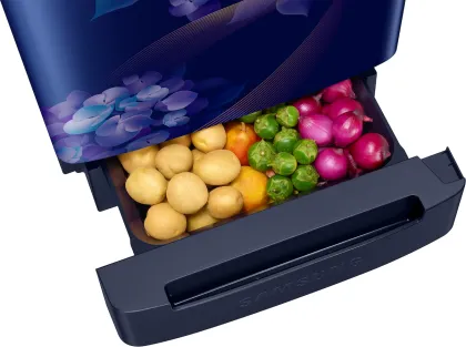 Samsung RR21H2H25HS 189 L 5 Star Single Door Refrigerator