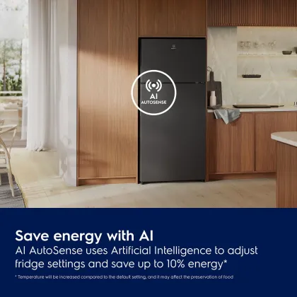 Electrolux ETM5002C-B 503 L 1 Star Double Door Refrigerator