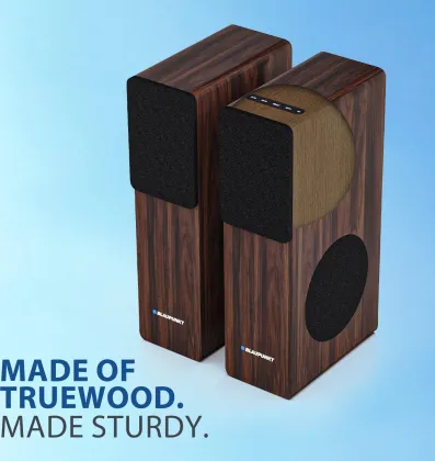 Blaupunkt TS120 120W Bluetooth Tower Speaker