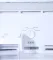 Whirlpool IF INV ELT 305GD Crystal Black-Y 259 L 2 Star Double Door Refrigerator