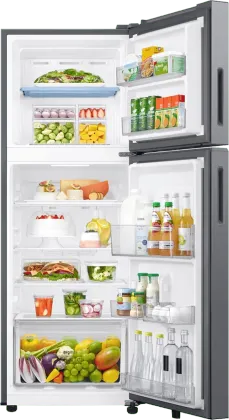 Samsung RT40H28U2P 236 L 2 Star Double Door Refrigerator