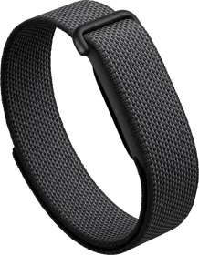 Google Fitbit Air