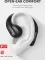 Soundcore AeroFit Pro True Wireless Earbuds