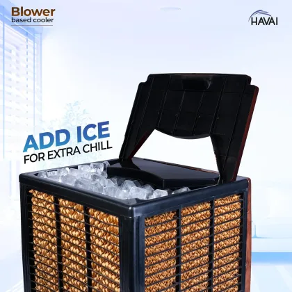 Havai KJR Ebony 65 L Dessert Air Cooler