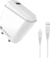 Portronics Adapto 40 M Wall Charger