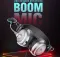 Intex Magna Wired Headphones
