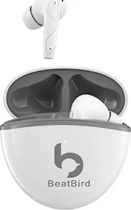 BeatBird Air 2 True Wireless Earbuds