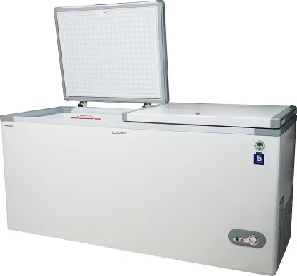 Lloyd GLHT550CDD 534 L Double Door Deep Freezer