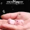 Tozo T6 True Wireless Earbuds (Ergonomic Edition)