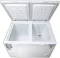 Blue Star CF5-330NEWY 310 L Double Door Deep Freezer