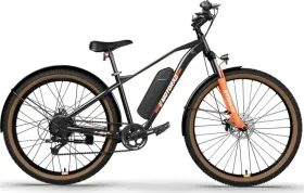 EMotorad T-Rex Air Electric Cycle