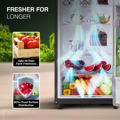 Godrej RT EONVOGUE 280C RI OK WD 244 L 3 Star Double Door Refrigerator