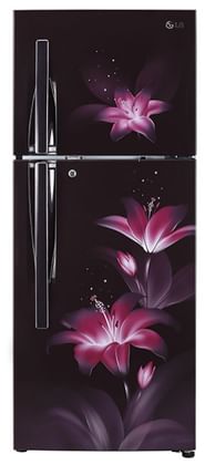 LG GL-T302RPGU 284 L 2 Star Double Door Refrigerator
