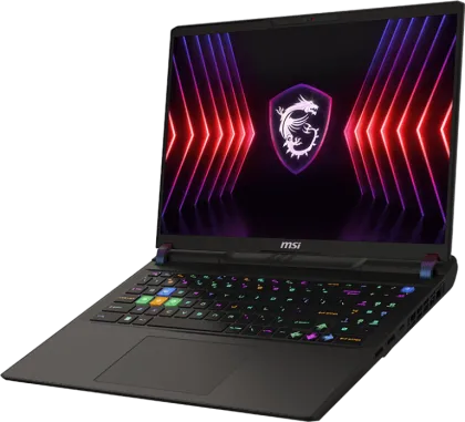 MSI Vector 16 HX A14VIG-636TAA Gaming Laptop (14th Gen Core i9/ 64GB/ 2TB SSD/ Win 11/ 16GB RTX 4090)