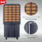 Indo Erica 48 L Personal Air Cooler