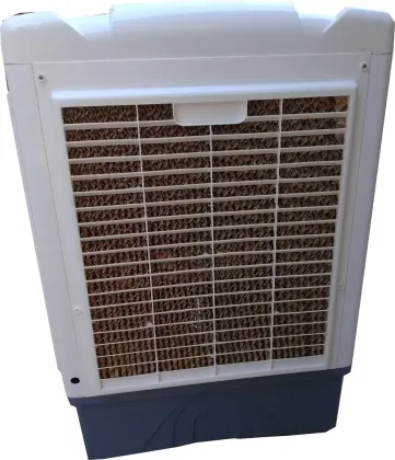 Maharani Whiteline Racer 60 L Personal Air Cooler