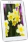 Videocon VT85C Tablet (WiFi+3G+4GB)