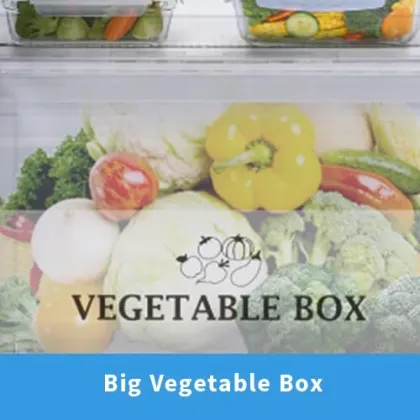 Sharp SJ-FF305V2 265 L 2 Star Double Door Refrigerator