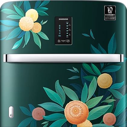 Samsung RR21C2E25NL 189 L 5 Star Single Door Refrigerator