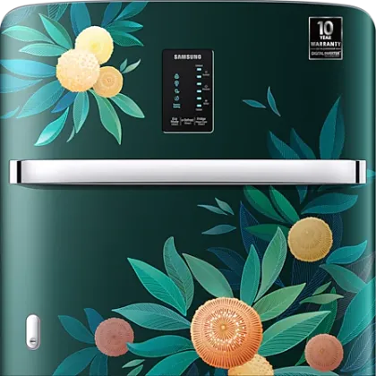 Samsung RR21C2E25NL 189 L 5 Star Single Door Refrigerator