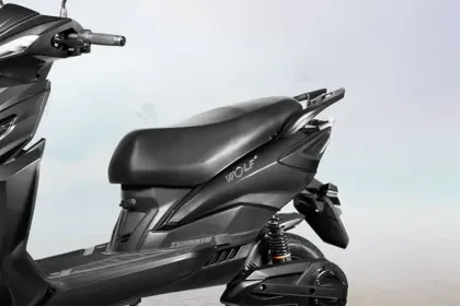 Joy e-Bike Wolf Plus