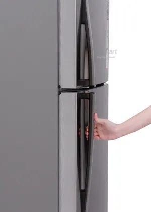 LG GL-M302RPZL.APZZEBN 285 L Double Door Refrigerator