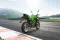 Joy e-bike Beast