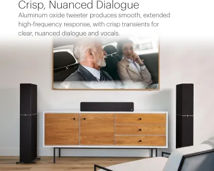 Definitive Technology Dymension DM20 Center Channel Speaker