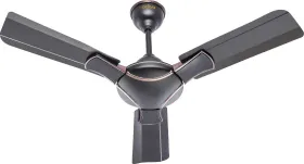 Activa Corolla 900 mm 3 Blades Ceiling Fan