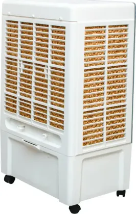 BPL BCD065DGC 65 L Desert Air Cooler
