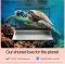 HP 15-fd0552TU Laptop (13th Gen Core i5/ 16GB/ 1TB SSD/ Win11 Home)