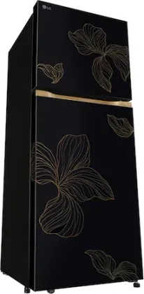 LG GL-N252YROY 225 L 2 Star Double Door Refrigerator