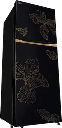 LG GL-S252ZROY 225 L 2 Star Double Door Refrigerator