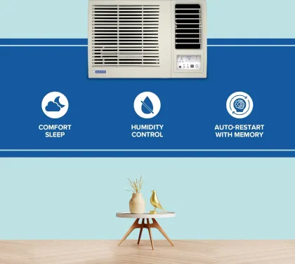 Blue Star WFA209LXU 0.8 Ton 2 Star 2026 Window AC