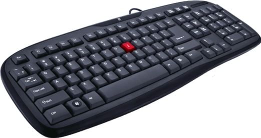 iball computer keyboard price