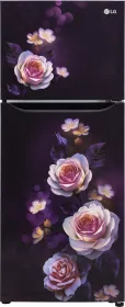 LG GL-N292DPBY 242 L 2 Star Double Door Refrigerator