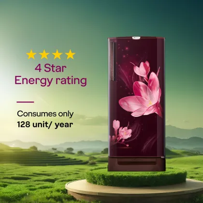 Godrej RD 195DN TDI MY WN 185 L 4 Star Single Door Refrigerator