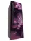 LG GL-T292RPDN 260L 4 Star Double Door Refrigerator