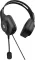 HP 320C Wired Headphones