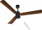 RR Signature BrightAir 1200 mm 3 Blade BLDC Ceiling Fan