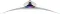 Samsung Odyssey OLED G9 LS49DG930SW 49 inch DQHD Gaming Monitor