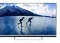 Nokia 55CAUHDN 55-inch Ultra HD 4K Smart LED TV
