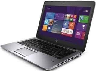 HP Elitebook 820 G3 (T7Z94PA) Laptop (5th Gen Ci5/ 4GB/ 256GB SSD/ Win8.1)