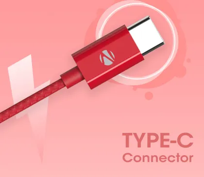 Zebronics Zeb-Buds C2 Wired Earphones