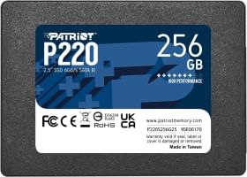 Patriot P220 256 GB Internal Solid State Drive
